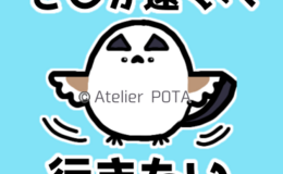 記事を見る