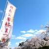 日本さくら名所100選『村松公園の「桜」』（新潟県 五泉市）