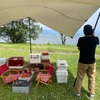 【実際に調べた】夏キャンプの必需品＆持ち物で対策！暑すぎるし辛い