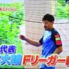 頑張れ！Ｆリーグ１７