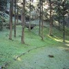 八王子城跡_曳橋(東京都八王子市)