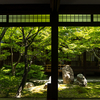 京都の観光スポット。青もみじと枯山水の日本庭園が美しい建仁寺と東福寺に行ってきたぞ！