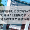 【埼玉のおすすめ温泉14選】雨の日でも大丈夫！サウナや岩盤浴で1日まったり過ごそう