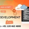 Best Web Development Services Providers in India