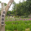 都立水元公園