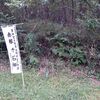 シリーズ・黒田官兵衛　（石垣原合戦　旧暦九月十三日
