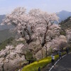 tochikoな山歩き  桜と里の味と