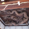 瀧尾神社の巨大龍