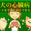 犬の心臓病　ハートを守るために一緒にできること