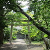 青葉の滝道散歩/箕面山瀧安寺とオオサンショウウオ