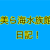 【日記】美ら海水族館に行ってきた日記！