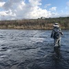 11/7 尻別川　Fly fishing