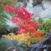 那谷寺の紅葉「琉美園」