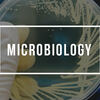 Study About the Impact of Pathogens in Our Lives by Becoming a Micro Biologist