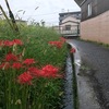 駆け抜けた夏