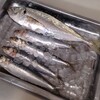 真アジ（平アジ）・真イワシ　など