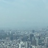 東京に行ってきましたよって〜2日目〜