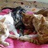 それぞれの場所で…
