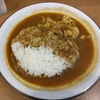 ラホール（千代田区外神田）のチキンカレーインド風