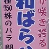 散歩で「青和ばら公園」に行き当り、東京武道館へ。