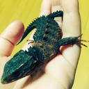 モピー＆モピ子's blog