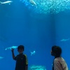 6/19 雨の土曜日〜大洗水族館〜