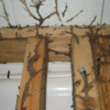 Easy Dry Wood Termite Manage Solutions