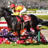 競馬初心者必見☆馬券予想🔥〜阪神大賞典〜最大斤量のあの馬が好走する！