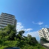 UR賃貸の空室が出る時期、出る時間