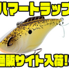 【ビルルイス】ハンマーで叩かれた様にロッド ティップを揺らすバイブレーション「ハマートラップ」通販サイト入荷！
