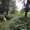 8月7日のブログ「地元の神社・お墓の草刈り、週末の10キロのジョグ、せきてらすにてチチフェス、お通夜に参列」