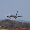 大空の下で飛行機を撮影したぃ！　夕方にスターアライアンスB767到着