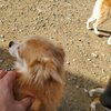 お高い値段。