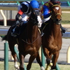 馬を撮ってみる　＠東京競馬場　2018.2.18