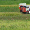 先週末の朝、稲刈用のコンバインが出ていた。