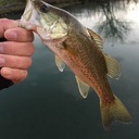 気ままなバス釣り生活