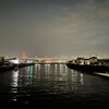 急な高熱とキレイな写真