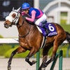 【本日の予想はお休みさせていただきます】motoの競馬予想ブログ