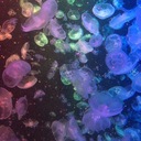 がいすの絵日記