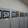 作品を展示に