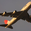  JL JA8084 B747-400(D)