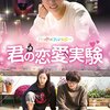 韓国ドラマ「君の恋愛実験 〜三つ色のファンタジー〜」感想 / ユン・シユン主演　薬の副作用で崖っぷちからの起死回生ストーリー