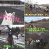 地震と大雪の間隙に 富士山麓鳴沢村で乗馬体験  ホーストレッキング 　🐎