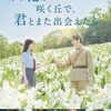 【レビュー】映画『あの花が咲く丘で、君とまた出会えたら。』はあくまで恋愛がメインだが令和的戦争作品でもあった