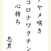 アヤメ咲き コロナワクチン 心待ち