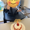 安く楽に簡単に🎂一生の思い出になる一歳誕生日🎂