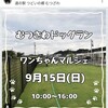 むつさわドックラン ワンちゃんマルシェ 9月15日(日)10:00～16:00 ドックラン無料 入場無料 駐車場無料 