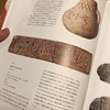 古代ギリシャ展（神戸）へ