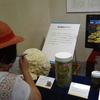 特別展「たまごとたね-いのちのはじまりと不思議-」