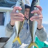 【釣果】2024年9月7日